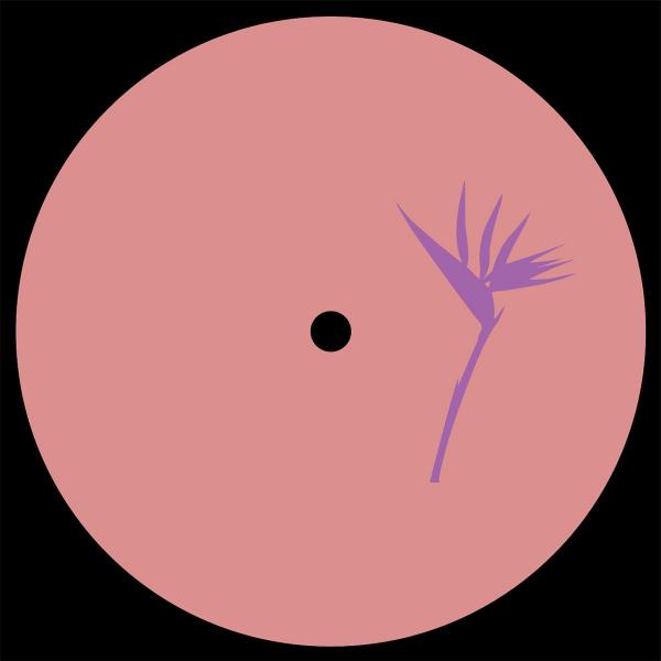 Daniel Meister — Lanao Izany EP [vinyl o — Copertina