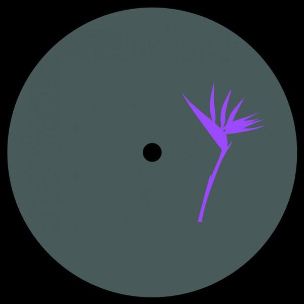 Zenk & Ted Amber — Memesis EP incl Ted A — Copertina