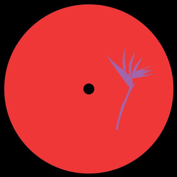 RWN — Dancing in Circles EP [vinyl only] — Copertina