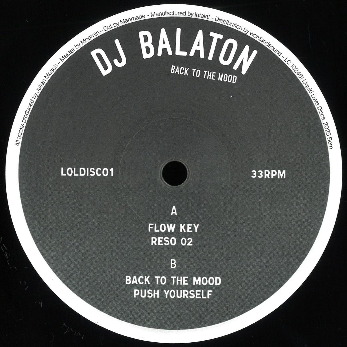 DJ Balaton — Back to the Mood — Copertina