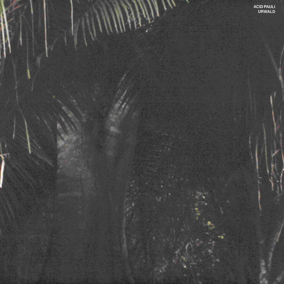 Acid Pauli — Urwald — Copertina